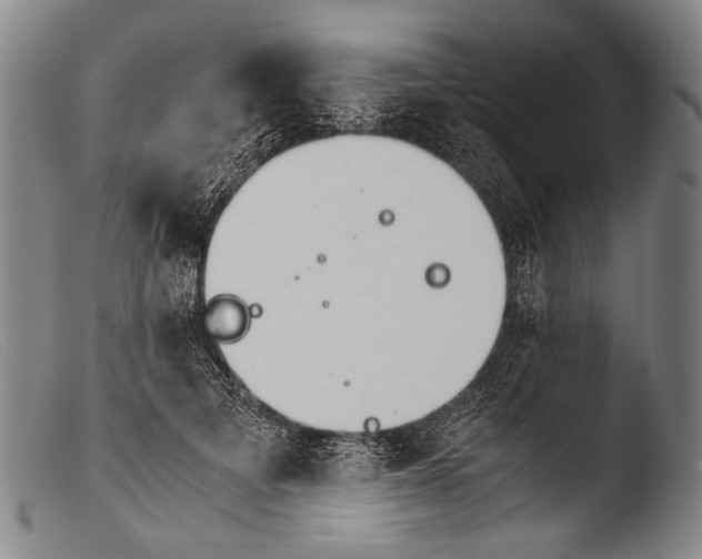 X0000103940697200810311526