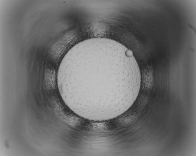 X0000103940698200810311526