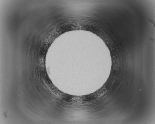 X0000103940699200810311526