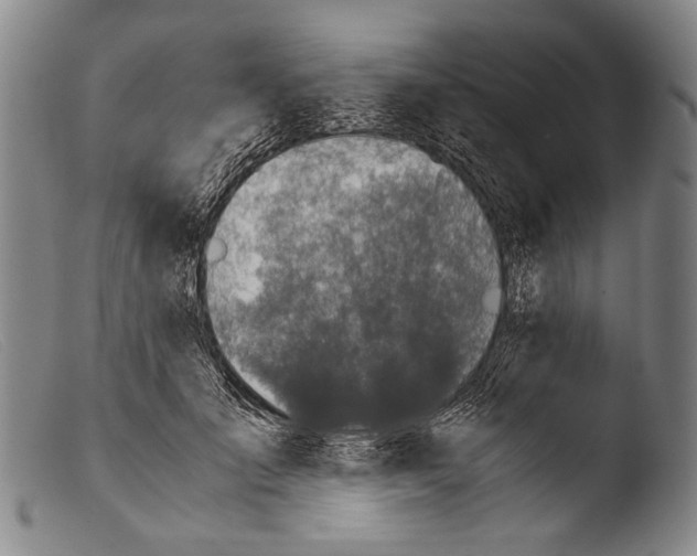 X0000103940701200810311526