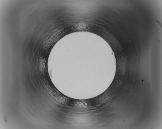 X0000103940702200810311526