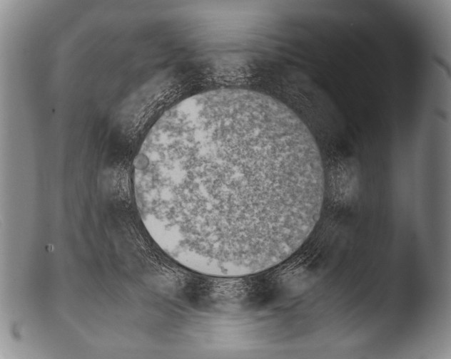 X0000103940705200810311526