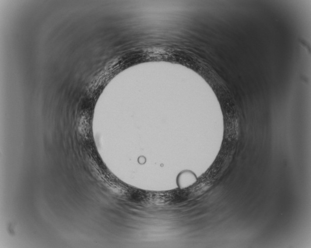 X0000103940707200810311526