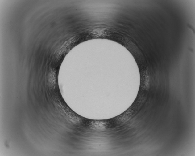 X0000103940710200810311526