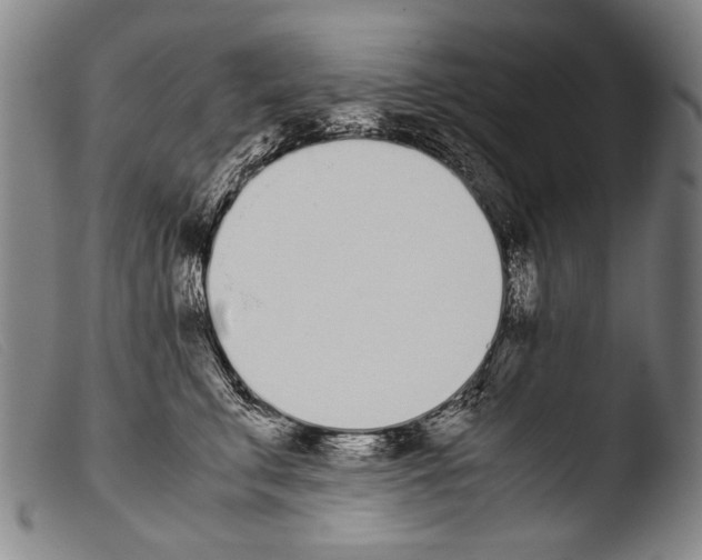 X0000103940711200810311526