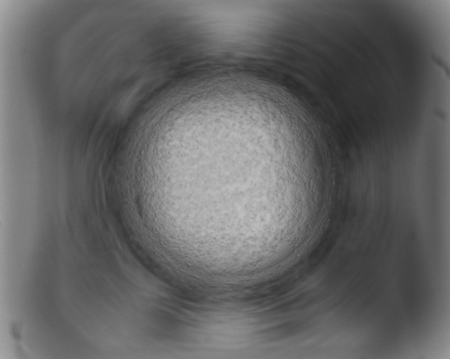 X0000103940713200810311526