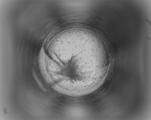 X0000103940717200810311525