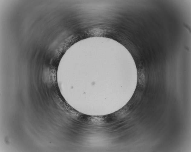 X0000103940718200810311525