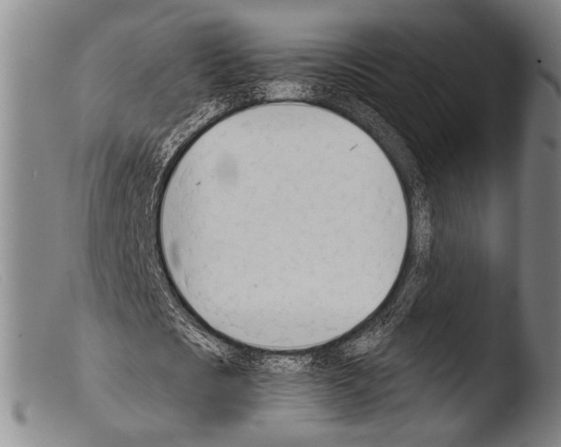 X0000103940721200810311525