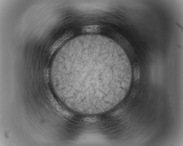 X0000103940725200810311525