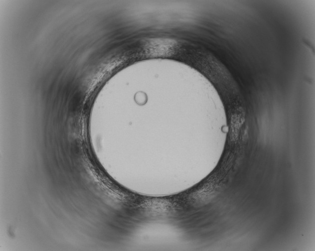 X0000103940726200810311525