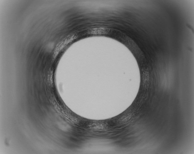 X0000103940727200810311525