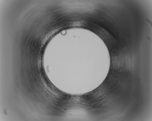 X0000103940728200810311525