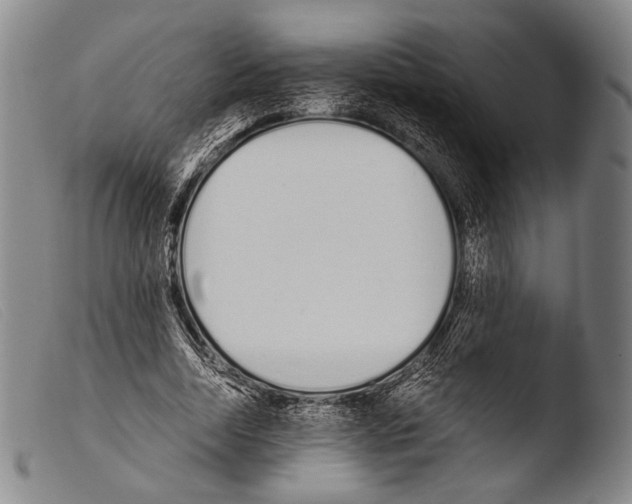 X0000103940730200810311525