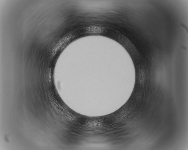 X0000103940731200810311525