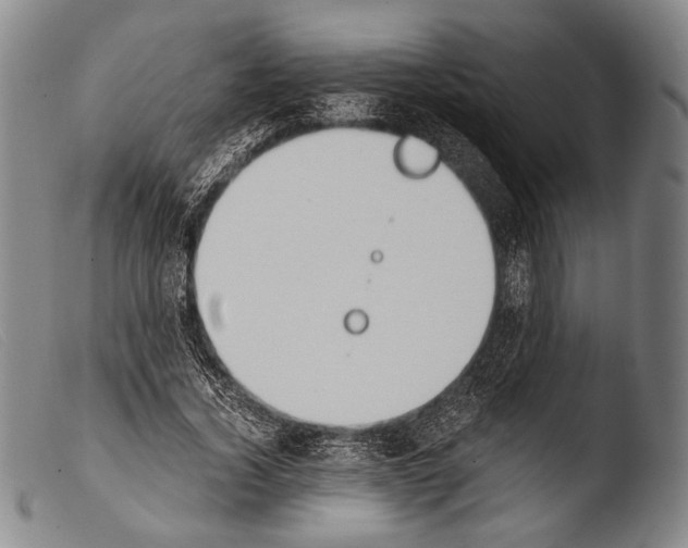 X0000103940732200810311525