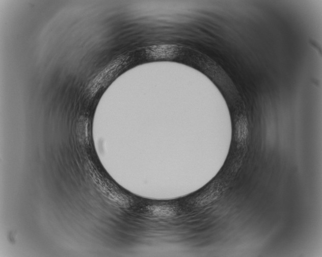 X0000103940733200810311525