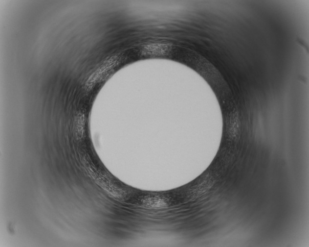 X0000103940735200810311525