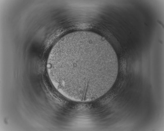 X0000103940736200810311525