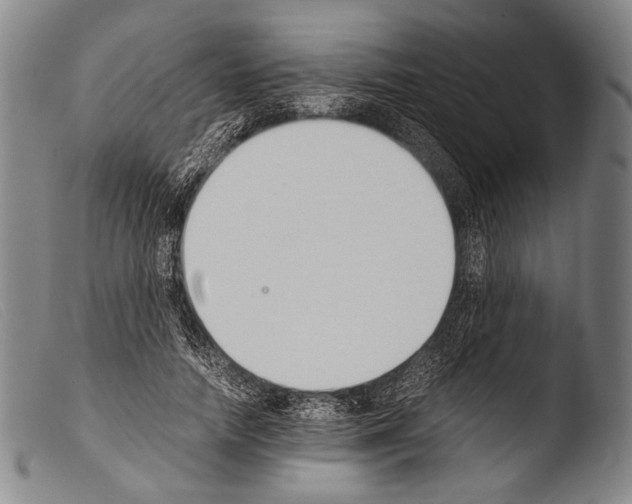 X0000103940738200810311525