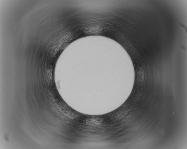 X0000103940739200810311525