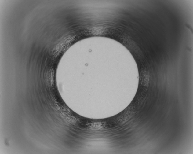 X0000103940740200810311525