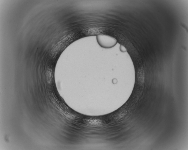 X0000103940741200810311525