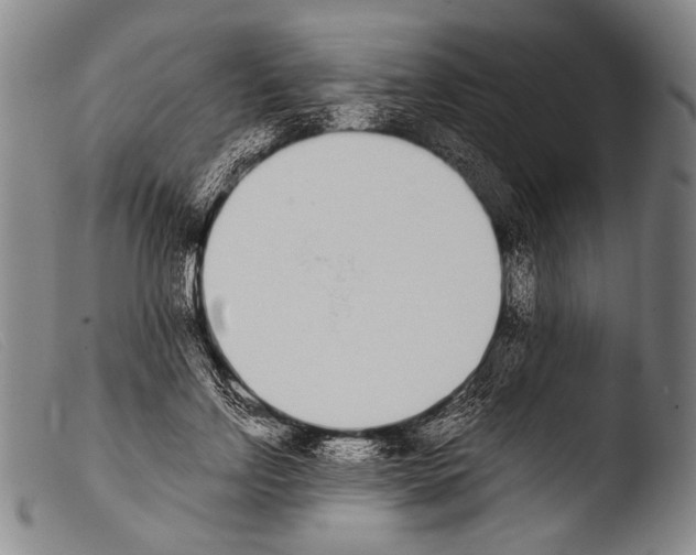 X0000103940742200810311525