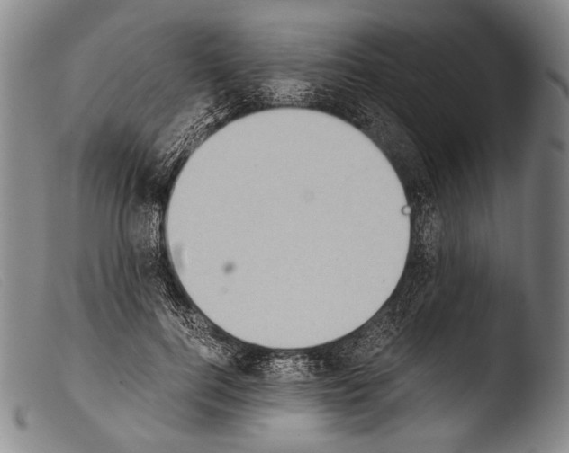 X0000103940744200810311525