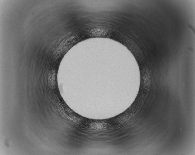 X0000103940745200810311525