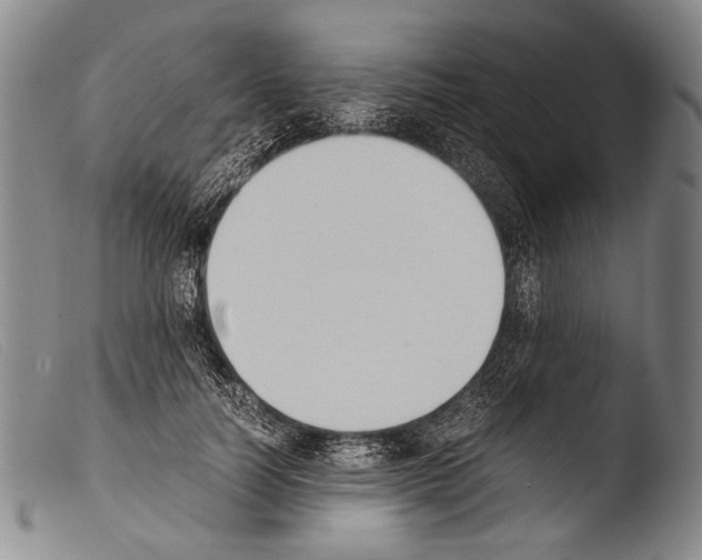 X0000103940746200810311525