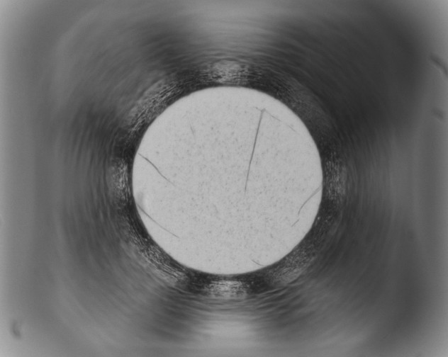 X0000103940748200810311525