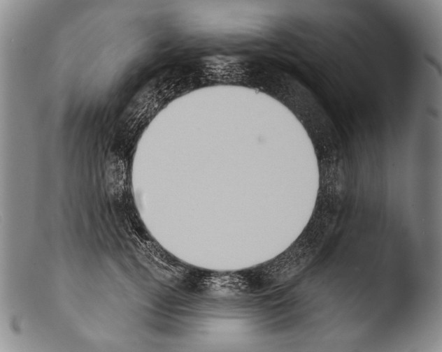 X0000103940752200810311525