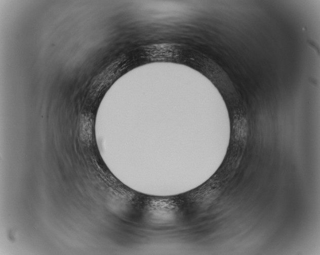 X0000103940753200810311525