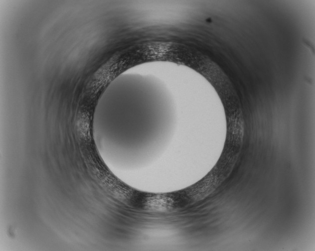 X0000103940754200810311525