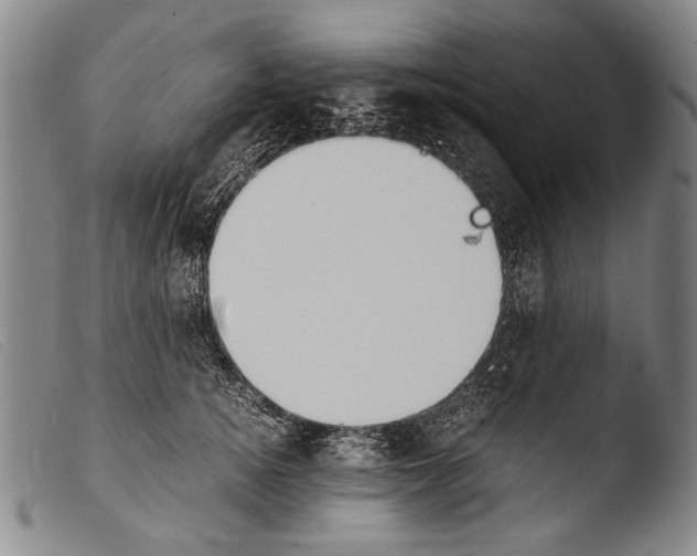 X0000103940756200810311525