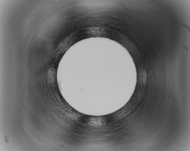 X0000103940757200810311525