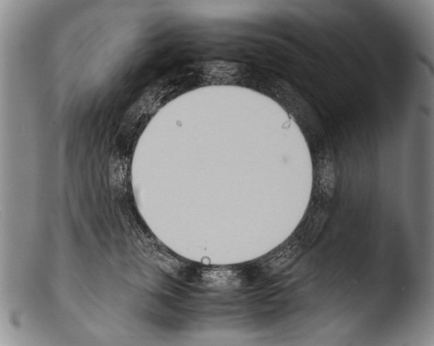 X0000103940759200810311525