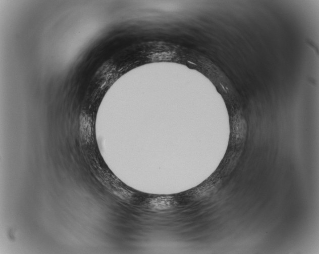 X0000103940761200810311525