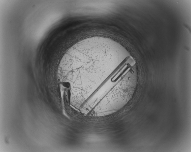 X0000103940762200810311525