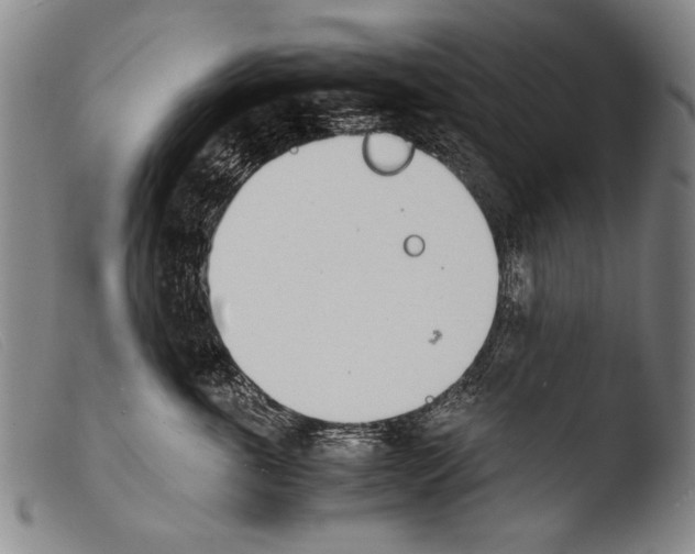 X0000103940763200810311525