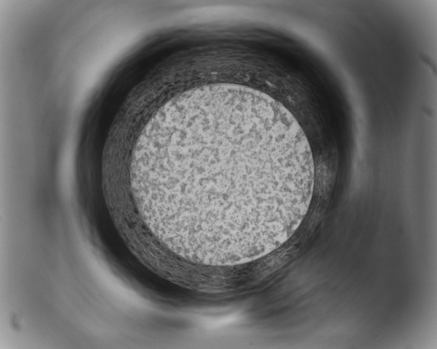 X0000103940765200810311525