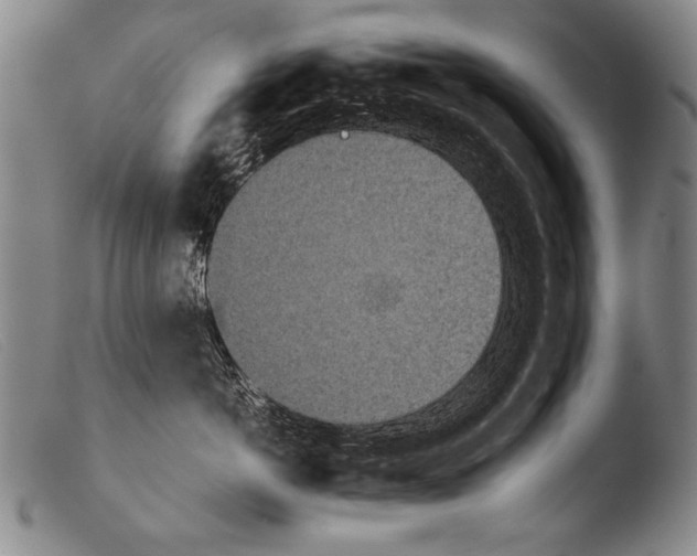 X0000103940766200810311525