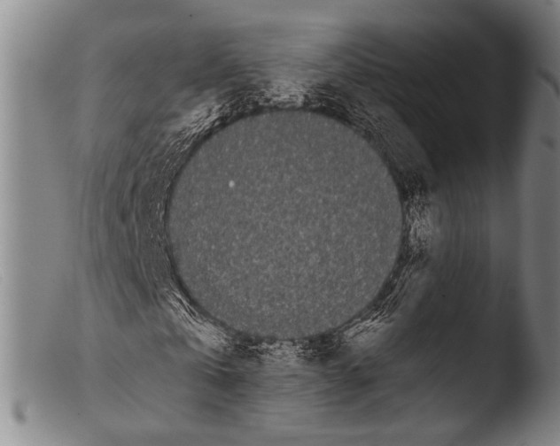 X0000103940769200810311525