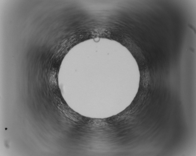 X0000103940770200810311525