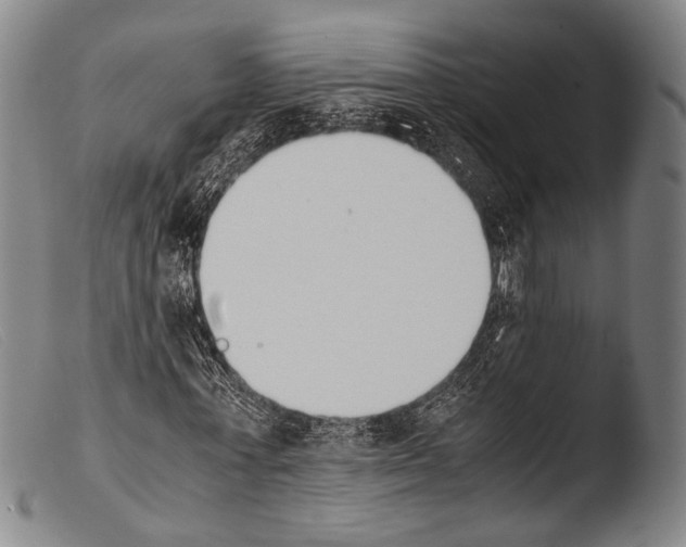 X0000103940771200810311525