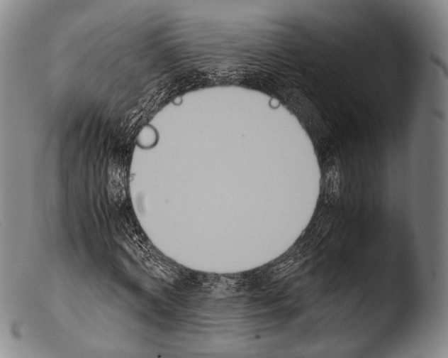 X0000103940772200810311525