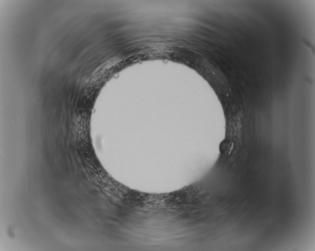 X0000103940773200810311525