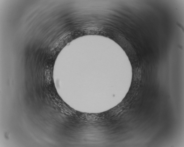 X0000103940774200810311525