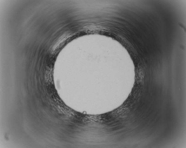 X0000103940775200810311525